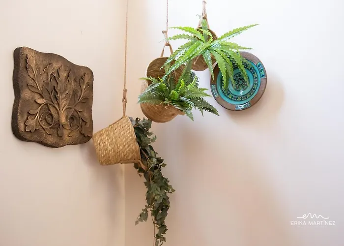 Appartement Jerez Centro Mrz