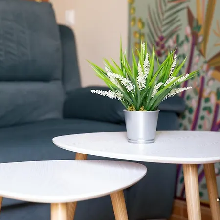 Apartmán Jerez Centro Mrz