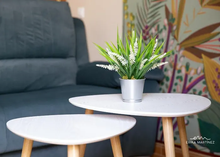 Apartment Jerez Centro Mrz Rentals